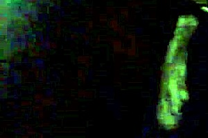 check out this maledom session with dildo toys 😏