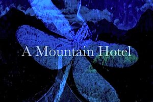 Dark Lantern Presents The Dragonfly