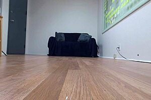 sexy new boy fetches high bids on the auction block