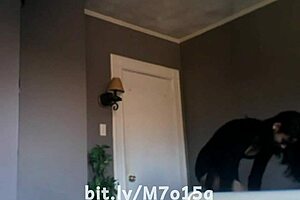 Gorgeous Shemale's Desires Ignite on Webcam as She Craves Oral Pleasure