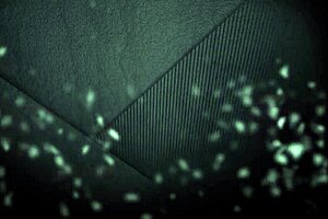 i watch tory lane and courtnmey cummz sharing my big dick