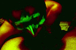 Anna Varentino Italy Blowjob Swallow Number 20 Very Private Job Only For Friends Webcam Cumshot Monster Cock