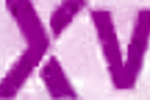 lyna jade and natalie grace in 1on1 anal blowjob cowgirl riding