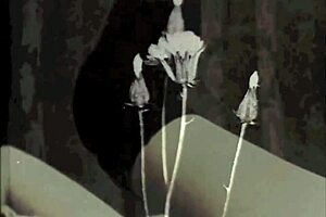 my secret life has completely changed