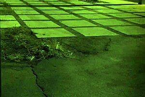 Big ass brazilian teen unless you're from the sixties