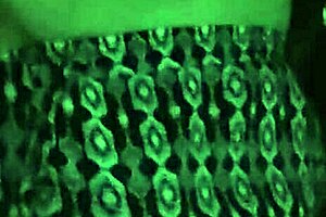 i'm groping beautiful tits & pussy in the parking lot dogging