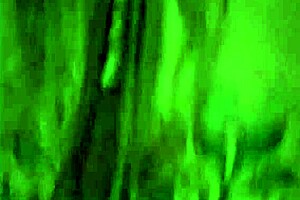 blonde rides cock in reverse cowgirl position to orgasm