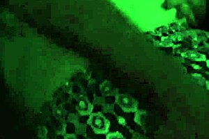 i'm groping beautiful tits & pussy in the parking lot dogging