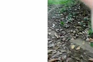 secret forest fucks with married men risk creampie