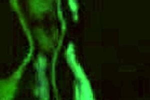 Imagine a vintage fantasy with your taboo step sister.