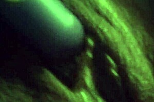 Amateur Teases Shaved Pussy With Vibrator