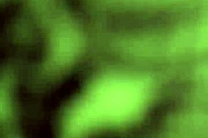 my girlfriend loves double penetration with two cocks in her pussy 😍