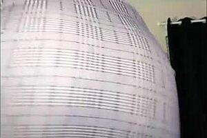 sexy fat ass shakes in fishnets for you