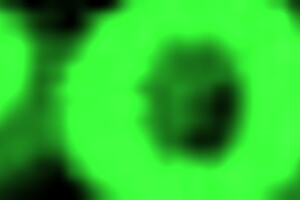 i love licking my ebony girlfriend's pussy while she fingers me with toys