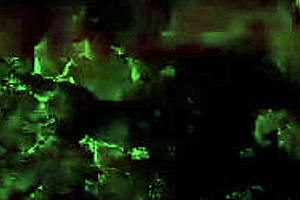 Vintage British Swinging London with Hairy European Retro Vibes 🕺💃