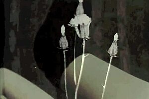 omg i cant even with these vintage threesomes, so hairy n wild