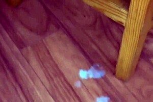 blonde receives full sperm load sprayed inside