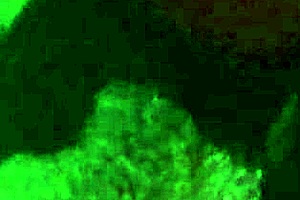 Hey Anggie Luna, can you squirt like that again?