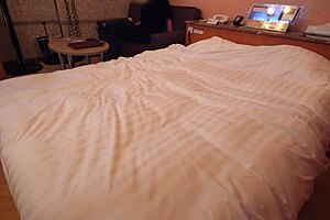 22-year-old nursery teacher with big tits moans in hidden hotel encounter