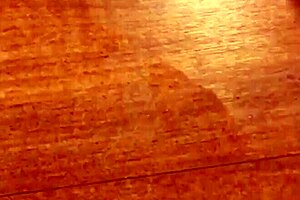 Brazilian amateur transsexual has sex and dances naked and masturbates for her satisfaction