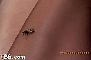 Hardcore sadomasochism features intense whipping, bondage, and domination scenes.