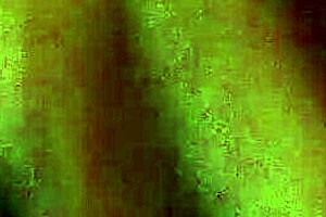 Hot Black Guy Creampies His Girl With Big Dick