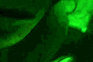 Amateur Cum Explosion Unleashed