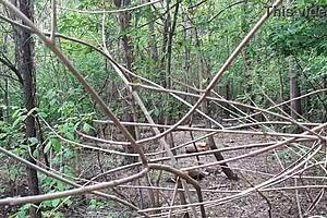 girlfriend masturbates and cums in public nature with orgasm