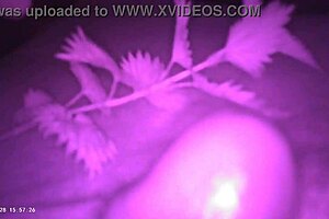 Outside with stinging nettle, inserting it into my slave's cock for intense pain