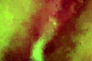 Playing with big tits until i cum 😈