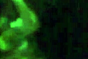 Wow, hairy pussy play with vibrator!