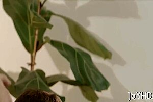 Young Shaved Pussy Drilled