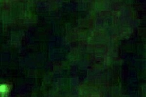 Wow, hairy pussy play with vibrator!