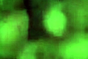 ebony girls sucking cock before intense fucking