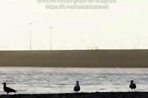 fucking the sexy young girl nicely