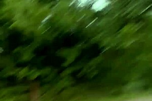 Bbw Head Outside Boldly