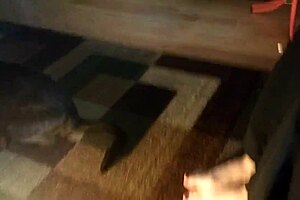 Super High Arches Feet Showcase