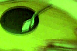 Office Slut Craves Intense Shagging and Pussy Licking at Work