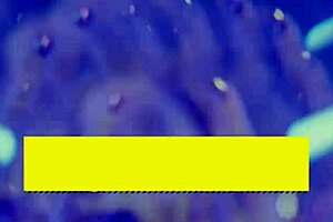 Jazlyn Ray & Chloe Surreal Turn Foam Party Wild! 😜