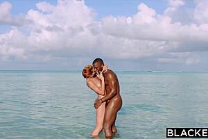 Blacked thrill-seeker little 18+ dragon dominates hot stranger with deepthroat outdoor action. Pure raw power!