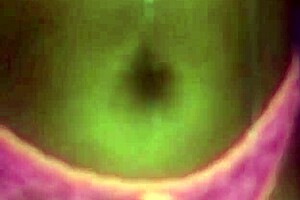 kali dreams of pretty ebony adventures