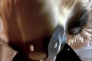 She sucked my big cock with her small tits bouncing.