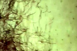 Real wife with natural bush sucks out my dick and gets pounded POV