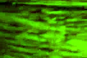 Hey, licking those dirty feet feels so fetishy 😋