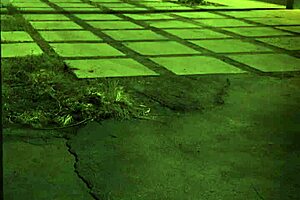 Teen threesome squirts hd in fun strip xxx. unless you're from the bondage group.