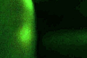 I watched a latino dick pounding a black pussy intensely