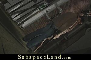 Wow, teen 18+ harnessed to cart, carrying master like a beast!