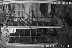 Man, this cagecam feed is raw and unedited straight from the cage! 😲