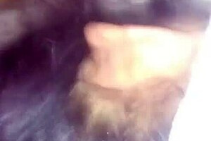 doggystyle on my wife