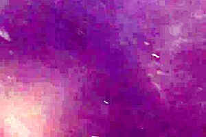 sexy teen 18+ at gloryhole with suggestive cock